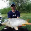siraly81
