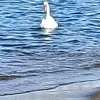 yoatherond