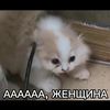 vn___vn