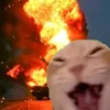cat_yapper