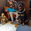 LA.Rottweilers