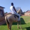 bosebo.kopano.tsetsewa