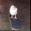 .longbpardbonglord