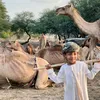idrissousman0