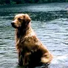 silas.zqb