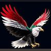 ahmedalgasim1