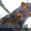ladymaedougie