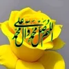 usermz59jmzp1x