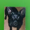 charly2000x