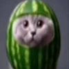 meloncat292827