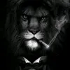 gabrielgomes32928