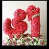 dyu38jfo50zn