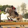 natofrechequestrian03