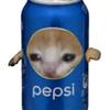 pepsicat_1