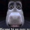 carlos.suarez1_3