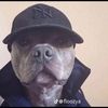 lilhats_