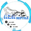 aza_reptile