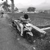 ownerpelajar