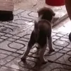 kzmkmlctnalhh5