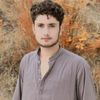 shahid082211