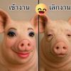 noonnoonnoon080