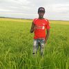 asensio832
