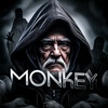 1_monkey_01