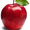 apple_bro1