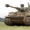 tiger1_31