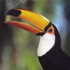 lamlg10
