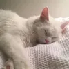 immm112