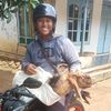 tehtawarpanass1
