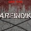 arfindik