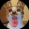 amino._.4ka13