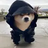 misterbgg