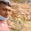 mdsirajulislam3082