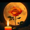 moon492166