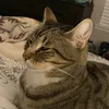 peanutiest1