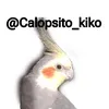 calopsito_kiko
