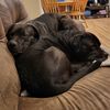 heatherthibodeau81