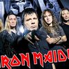 ironmaiden510