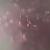 4eae_s