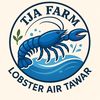 TJA_FARM lobster air tawar