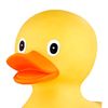 dook.dook_