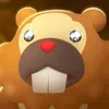___pinpon