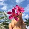 mathiluc33