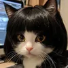 username09.901