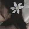 vek1_00