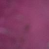 wwwbluesky2