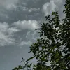 sjzb8_